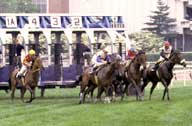 Finish line of Belmont Stakes